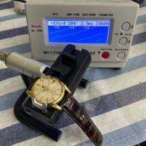 RADO☆ラドー　GOLDEN HORSE ゴールデンホース　30石　自動巻き　メンズ　腕時計 バンド新品_画像10