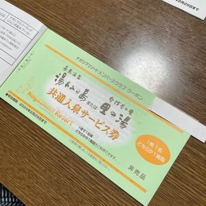 長島リゾート湯あみの島または里の湯共通入泉券