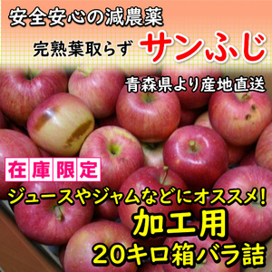 【加工用20キロ！】安心安全の減農薬「サンふじ」青森産完熟りんご●お得なバラ詰約20キロ入！皮ごと安心！ジュースやジャムなどに！