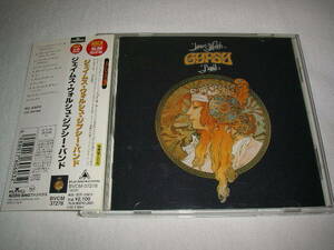 【BVCM-37278】 ジェイムス・ウォルシュ・ジプシー・バンド / JAMES WALSH GYPSY BAND　帯付き (AOR)