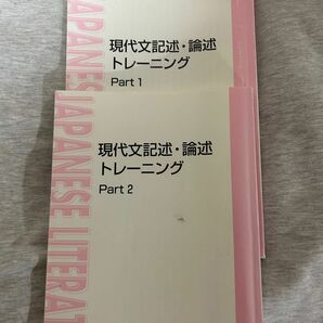 現代文記述論述トレーニング　林修　東進