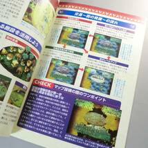 【レア攻略本】オアシスロード 必勝攻略法／双葉社 1999年 初版 A5判 美品（関連＞ファルカタ_画像6