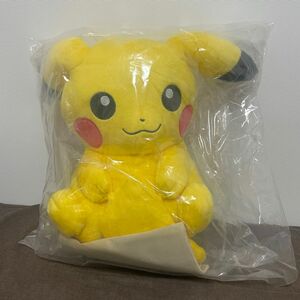 【ポケモン 一番くじ】A賞 ひなたぼっこピカチュウ ぬいぐるみ