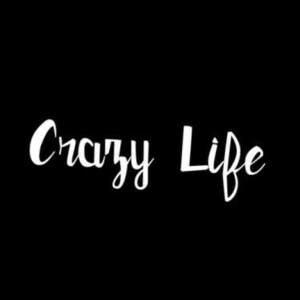 【全13色】カッティングステッカー「Crazy Life」横14cm◆クレイジーライフ 車 バイク スポーツ スノボー スケボー おしゃれ 格好いい 英語