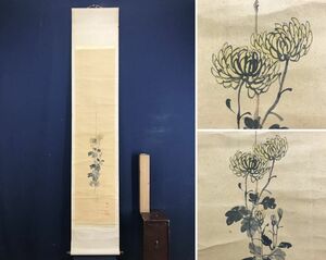 Art hand Auction Genuine/Katsura-shu/Chrysanthemum/Flower//Hanging scroll☆Treasure ship☆AD-830, Painting, Japanese painting, Flowers and Birds, Wildlife