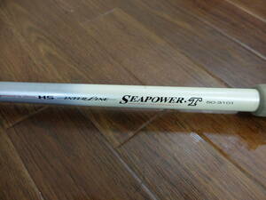 ★☆Daiwa ダイワ HS シーパワーT 50号 310 Inter line インターライン☆★