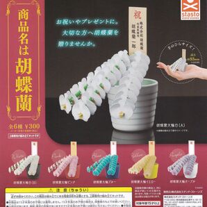 商品名は胡蝶蘭 全6種セット ガチャ 送料無料 匿名配送