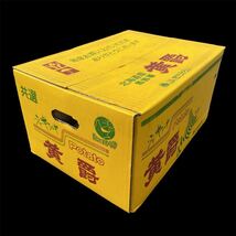 おでんに最適　北海道産　黄爵　コンパクトボックス箱込み1.5キロ 送料無料_画像6
