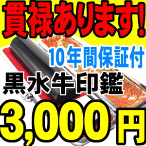 印鑑　実印 はんこ 銀行印　黒水牛印鑑 18mm ケース付 印鑑セット 男性 女性 あすつくも可 日用品 印鑑 作成