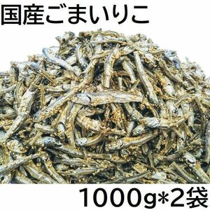 ごまいりこ 2000g 国産 チャック袋 九州醤油味 1kg2袋入 黒田屋