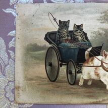 フランスアンティーク 古い絵葉書 可愛い猫馬車！ファンタジー　ロマンティック　クロモス　雑貨　インテリア_画像7