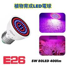 植物育成 LED電球 赤 青 LED E26口金 5W 80LED 【送料無料】観葉植物 多肉植物 成長促進 室内栽培 水槽 アクアリウム 熱帯魚 海水魚_画像1