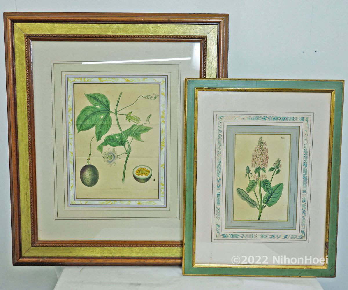 免运费◆绘画植物艺术铜版画◆手绘2件柯蒂斯植物杂志百香果植物画威廉·柯蒂斯, 艺术品, 打印, 铜版印刷, 蚀刻