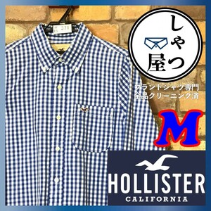 ME5-371★USA正規品＆美品★爽やか【HOLLISTER ホリスター】アップリケ ロゴ 長袖 ギンガムチェックシャツ【メンズ M】青 白 BDシャツ