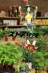 植物支柱 つる植物 金属 ガーデンサポート、 ローズトレリス 亜鉛メッキ鋼管 ガーデンオベリスクフレームスタンド 庭、温室、庭 q2345