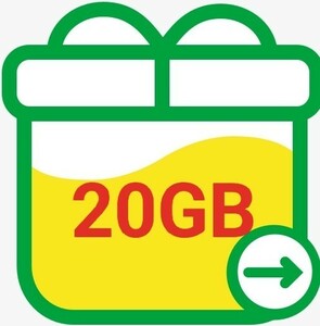 マイネオ mineo パケットギフト20GB （9990MB×2+20MB）