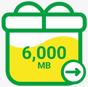 マイネオ mineoパケットギフト6000MB(6GB)