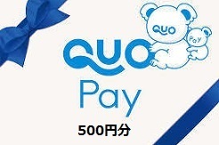 500円分 クレカ,paypay支払い不可 QUOカードPay500円分 (500円券×1個) クオカードペイ 電子マネー スマホ決済