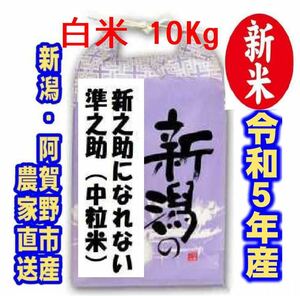 新米・令和5年産新潟　新之助になれない準之助　白米10キロ★農家直送★色彩選別済27