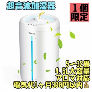 加湿器　超音波加湿器　乾燥対策　花粉対策　ミスト　4.5Ｌ　節電　アロマ対応　 卓上加湿器 静音