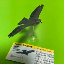 Furuta チョコエッグ 動物シリーズ 鳥編 ■ オオタカ【定形外送料120円】C_画像5