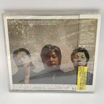 【未開封品】６（シックス）ホワイト・バッファロー・ターコイズ　CD　アルバム_画像2