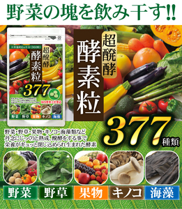 約6ヵ月分 360粒 製薬会社が作った 超酵素 酵素粒377 野草酵素 野菜・果物・キノコ・海藻類など377種類