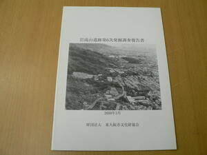 岩滝山遺跡第6次発掘調査報告書　　東大阪市　　VⅡ