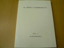 段上遺跡第13次発掘調査報告書　2003年　東大阪市　　VⅡ_画像1