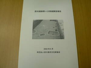 皿池遺跡第4次発掘調査報告　2002年　東大阪市　　　VⅡ