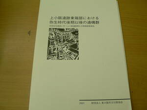 上小阪遺跡東端部における弥生時代後期以後の遺構群　2001年　東大阪市　　考古学　VⅡ