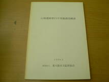 山畑遺跡第15次発掘調査概要　1999年　東大阪市　　考古学　VⅡ_画像1