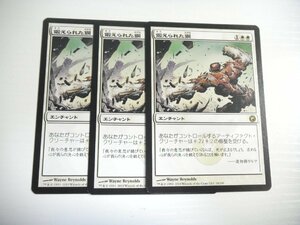 C138【MTG】鍛えられた鋼 3枚セット