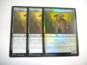 E1【MTG】鎧の同族呼び Foil×1 非Foil×2 3枚セット