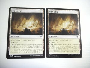 D481【MTG】隠された中庭 2枚セット