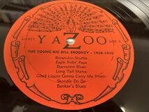 Big Bill Broonzy★中古LP/US盤「ビッグ・ビル・ブルーンジー～The Young 1928～1936」_画像3