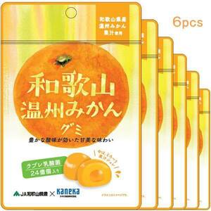 6袋セット販売 グミ 乳酸菌入り 和歌山温州みかんグミ カネカ食品 美味しい スッキリ 甘酸が効いた甘味 さわやかな味わい 果汁ジュレ