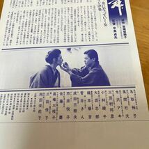 序の舞（名取裕子主演）中島貞夫監督作品_画像5