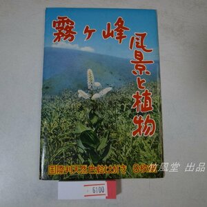 6100【絵葉書】霧ヶ峰 風景と植物 8枚袋