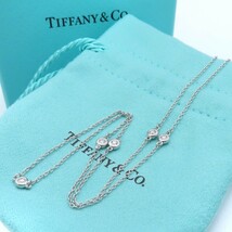 【送料無料】 未使用 Tiffany&Co. ティファニー 5P ダイヤモンド バイヤザード シルバー ネックレス SV925 HJ79_画像1