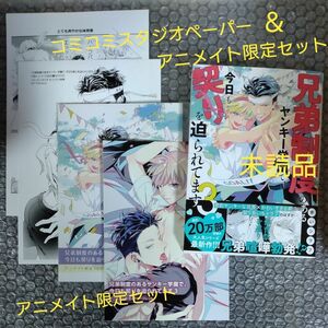 赤いシラフ　兄弟制度のあるヤンキー学園で、今日も契りを迫られてます３　アニメイト限定セット　コミコミペーパー