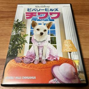 DVD ビバリーヒルズチワワ セル版　国内正規品