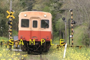 ☆90～00年代鉄道9jpgCD[小湊鐵道キハ200形その3]☆