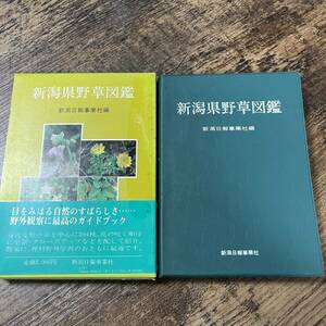 J-1063■新潟県野草図鑑Ⅱ■帯付き■オールカラー 植物図鑑■新潟日報事業社■(1982年)昭和57年4月25日初版