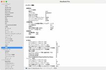 11123 Ω 新DCN 1630ｍ Apple MacBook Pro 16-inch 2019 A2141 / macOS Sonoma 14.1.1 / 2.6GHz 6コア i7 / 32GB / SSD:512GB_画像9