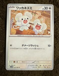 【美品】ポケモンカード ワッカネズミ C（sv4M 055/066）たね ダメージラッシュ 未来の一閃 1枚（在庫２０枚）