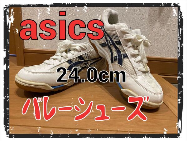 asics バレーシューズ　24.0cm スニーカー Low