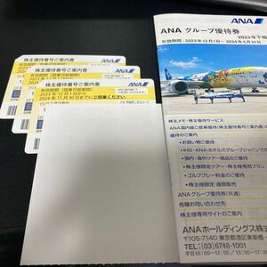 ANA 株主優待券 3枚 2024年11月30日まで 1円から