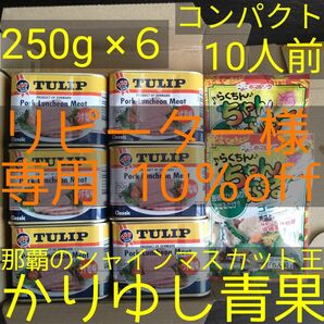 【リピーター様10％off】ゴーヤチャンプルー用　ポーク缶250g×6 たれ2袋（10人前）【コンパクト便無料】②