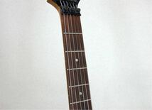 Ibanez JS Custom JS1000 Joe Satrianiモデル_画像5
